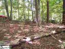 173 Broken Bow Lot 22 Broken Bow sold home in Pickens, SC