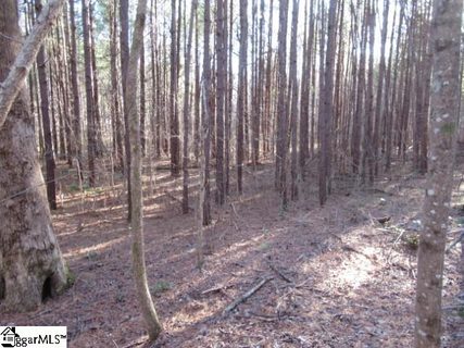 5 Matthews Creek Lane sold lot in Matthews Creek, Cleveland, SC