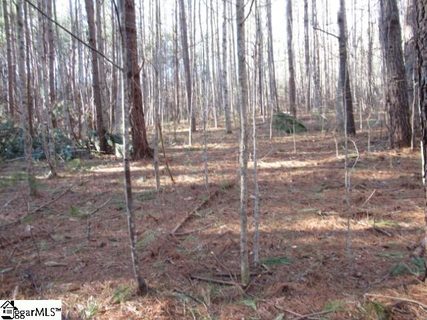 9 Matthews Creek Lane sold lot in Matthews Creek, Cleveland, SC