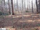 9 Matthews Creek Lane sold home in Cleveland, SC