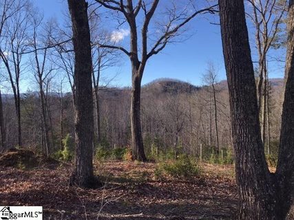 36 Terra Trace Way sold home in Garrenterra, Travelers Rest, SC