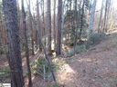 10 Matthews Creek Lane sold home in Cleveland, SC