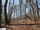 111 Oolenoy Court sold home in Pickens, SC