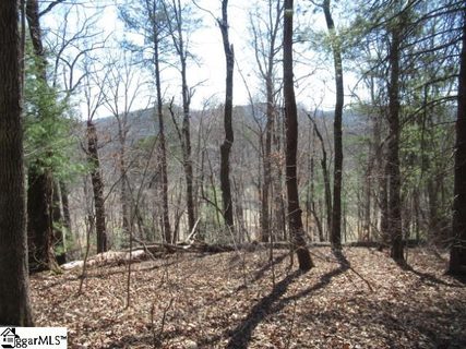 115 Oolenoy Court sold home in The Rock At Jocassee, Pickens, SC