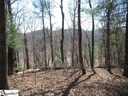 115 Oolenoy Court sold home in Pickens, SC