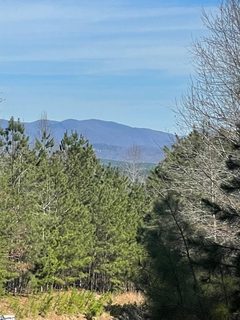 176 Creek Stone Court