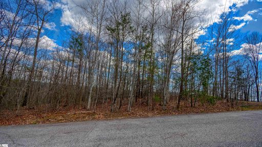 00 Treasure Trail sold lot in Emerald Falls, Cleveland, SC