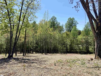 106 Pinelands Place Lot 23 sold lot in The Pinelands, Travelers Rest, SC