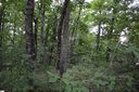 00 Altamont Forest Drive LOT 11 sold home in Greenville, SC