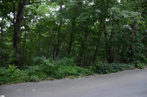 00 Altamont Forest Road LOT 18 sold home in Paris Mt Area, Greenville, SC