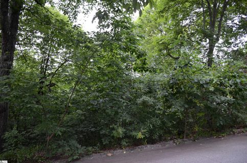 00 Altamont Forest Drive LOT 17 sold home in Paris Mt Area, Greenville, SC
