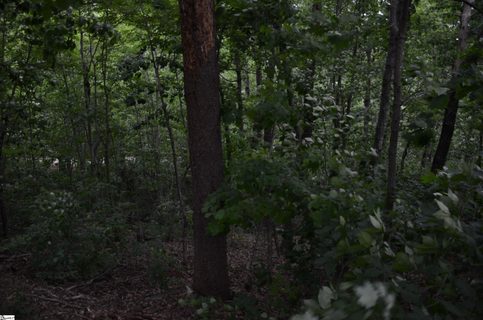 00 Altamont Forest Drive Lot 016 sold home in Paris Mt Area, Greenville, SC