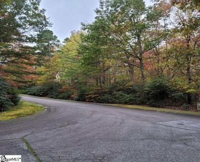 3 Larkspur Lane active lot in Cliff Ridge At Caesars Head, Cleveland, SC