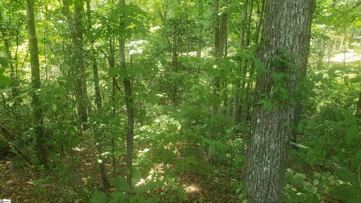 Lyle Drive sold lot in Peace Haven, Taylors, SC