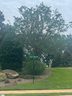 50 Faraway Place sold home in Greenville, SC