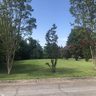109 Oakdale Avenue sold home in Greer, SC