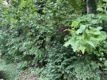 9 Willow Pines Court sold lot in Stone Creek, Spartanburg, SC