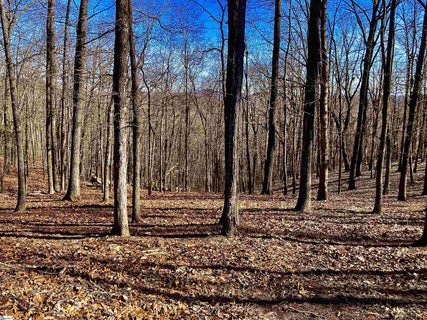 141 Cherokee Rose Trail