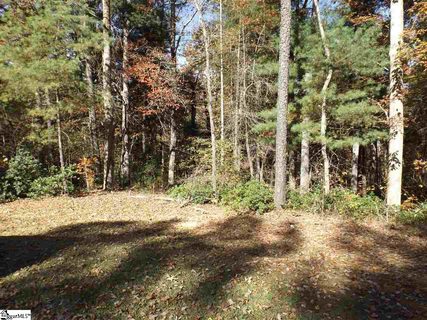 128 Oolenoy Court Lot 36 Oolenoy Court sold home in Woodmere, Pickens, SC