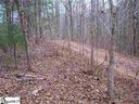 159 Broken Bow Run Lot 21 Broken Bow Run sold home in Pickens, SC