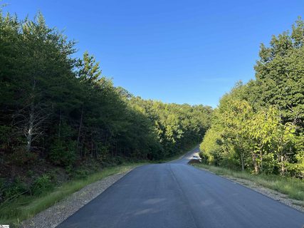 52 Packforest Road sold lot in Pack Ridge, Taylors, SC