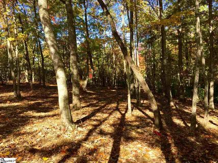 Peakwood Trail