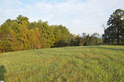 225 Race Track Road sold land listing in Greenspace Of Fairview, Campobello, SC