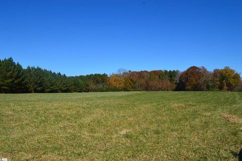 2350 Fairview Farms Road sold land listing in Greenspace Of Fairview, Campobello, SC