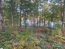 661 Crystal Cove Trail sold home in Salem, SC