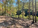 516 Old Chapman Bridge Road sold home in Salem, SC