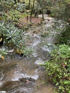 1000 Panther Park Trail