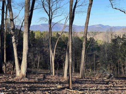 519 Hunting Hollow Drive