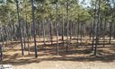 108 Coveside Lane sold home in Six Mile, SC