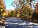 22 Alsace Way sold home in Travelers Rest, SC
