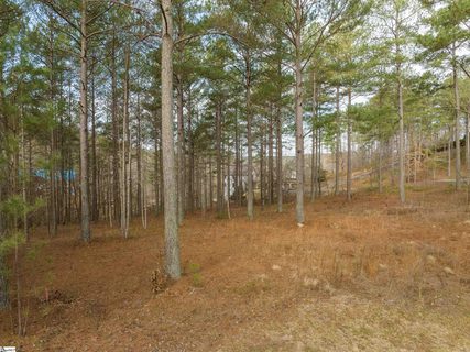 217 Featherstone Drive