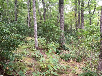 401 Panther Mountain Road sold home in Cliffs Valley, Zirconia, NC