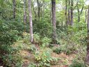 401 Panther Mountain Road sold home in Zirconia, SC