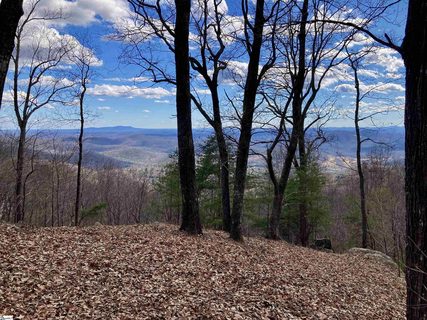 1006 Mountain Summit Road