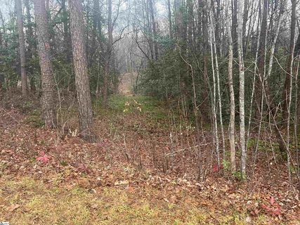 11 River Rock Court sold lot in Matthews Creek, Cleveland, SC