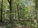 308 Camperdown Court sold home in Easley, SC
