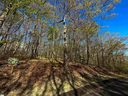 376 Sourwood Lane sold home in Cleveland, SC