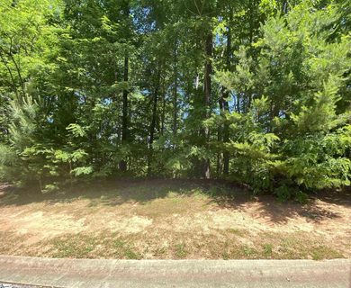 324 Laurel Valley Way