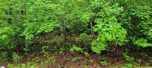 000 Glendlyon Circle active lot in Lake Lanier, Landrum, SC