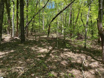 111 Bearpaw Trail