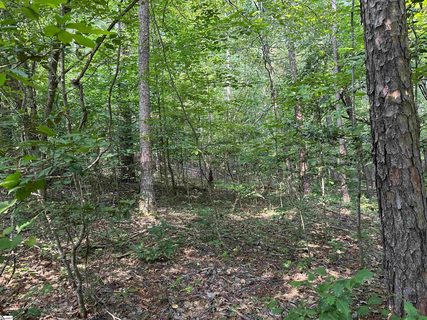 000 Yellowood Drive Lot 279 Waterside Crossing