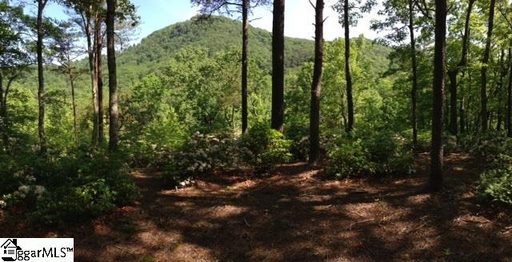 Halfnoon Trail Lot 40