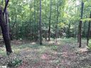 200 Darting Sparrow Way sold home in Marietta, SC