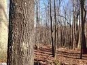 312 Laurel Valley Way sold home in Travelers Rest, SC