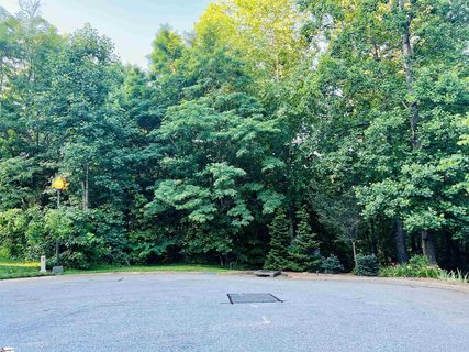 20 Savage Court sold home in The Woodlands At Cherokee Valley, Travelers Rest, SC