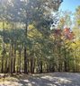 221 Ridge Haven Trail sold home in Travelers Rest, SC